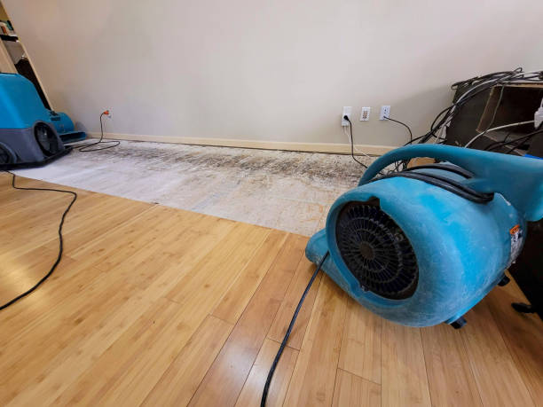 Professional Sewage Cleanup technician working in Fort Monmouth, NJ